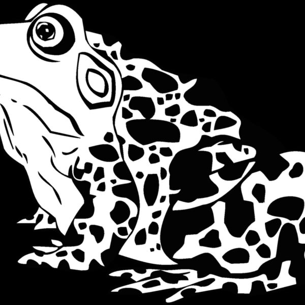 frog Thumbnail