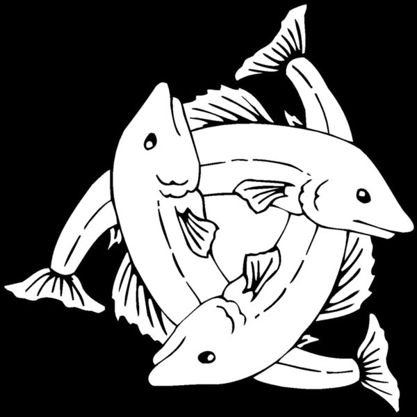 3fish Thumbnail