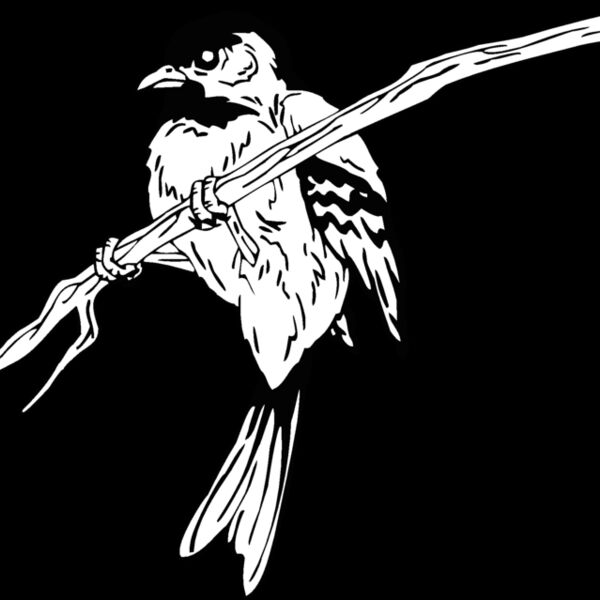chickade Thumbnail