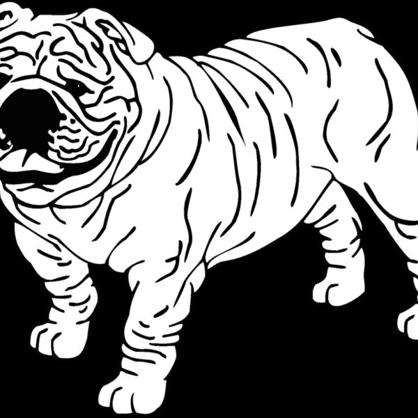bulldog Thumbnail