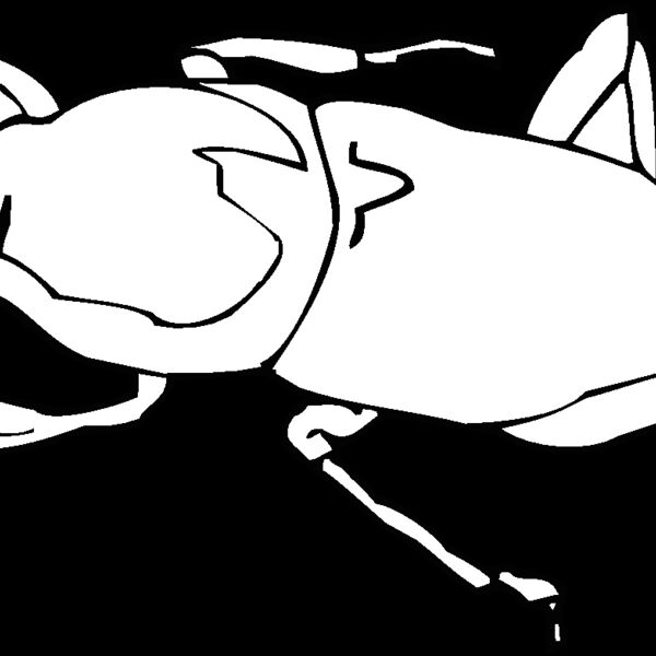 agave bi Thumbnail