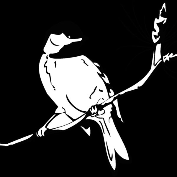 black cap Thumbnail