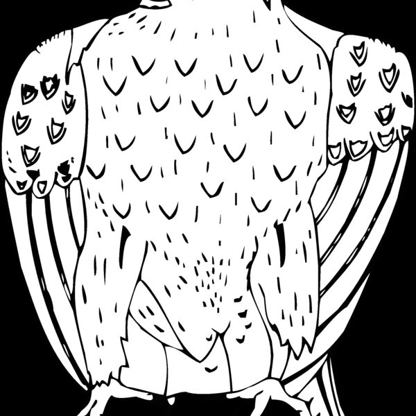 eagle3 Thumbnail