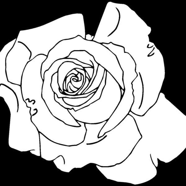 rose4 Thumbnail