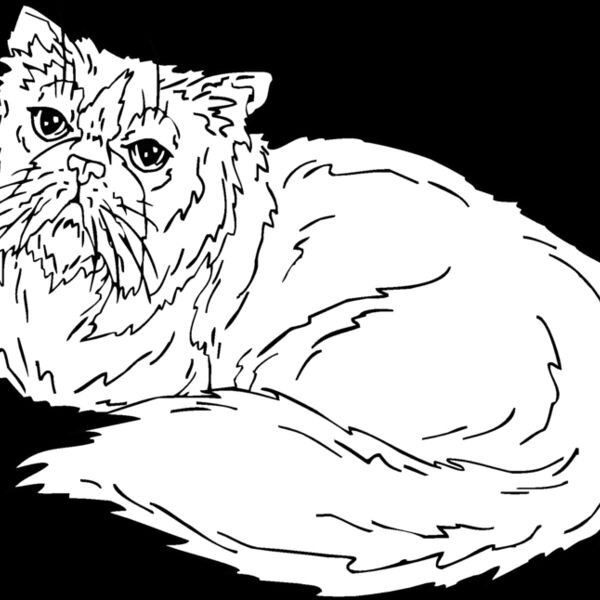 persian  Thumbnail