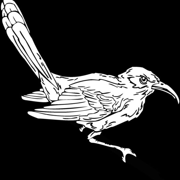 wren Thumbnail