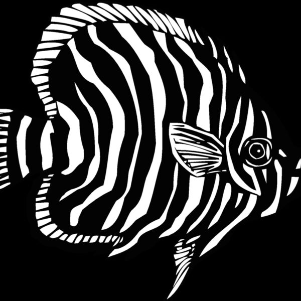 fish9 Thumbnail
