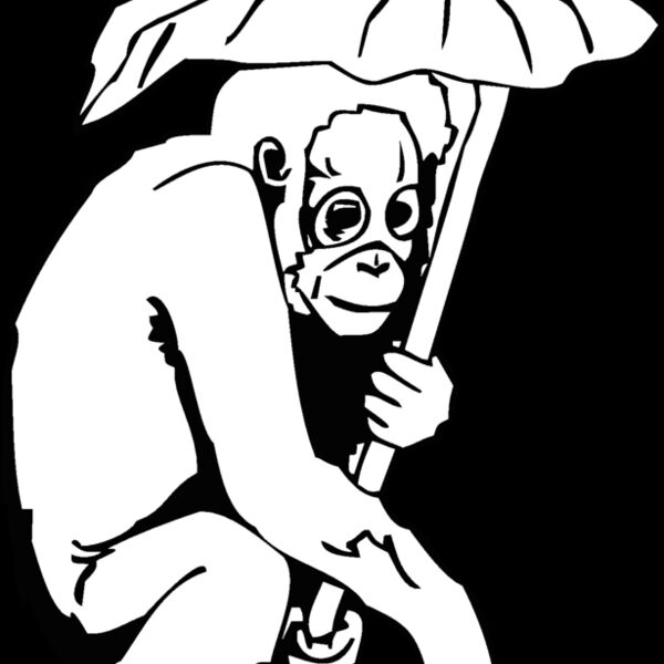 orangutan Thumbnail