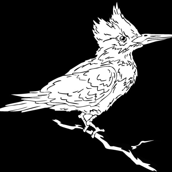 kingfish Thumbnail