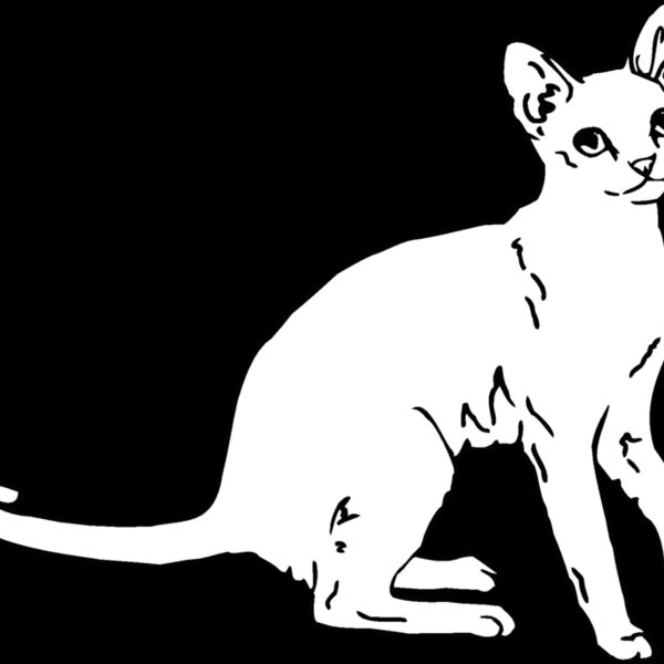 singapu2 Thumbnail