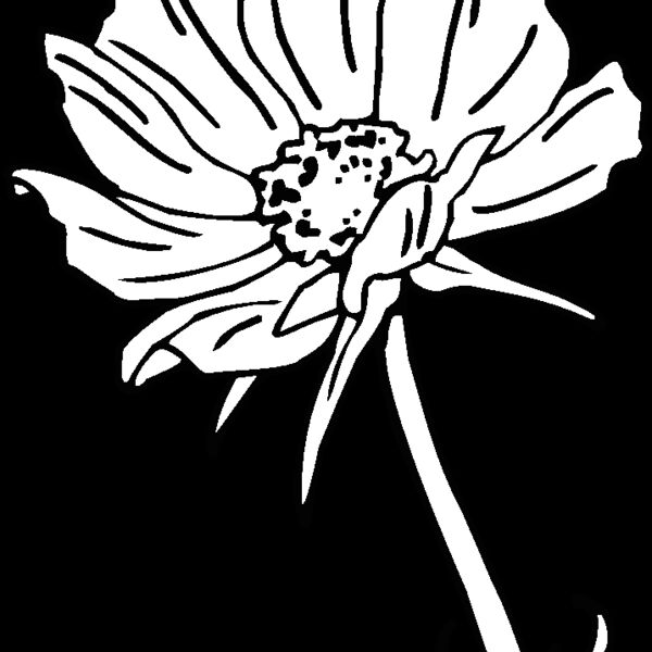 cosmos2 Thumbnail