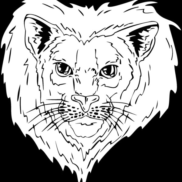 bbcat2 Thumbnail