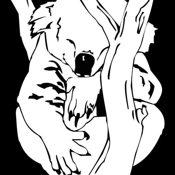 koala Thumbnail