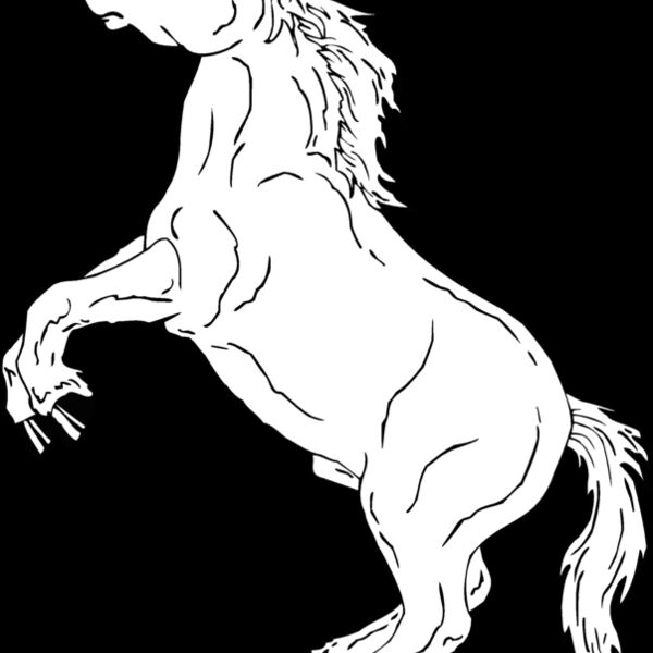 horse11 Thumbnail