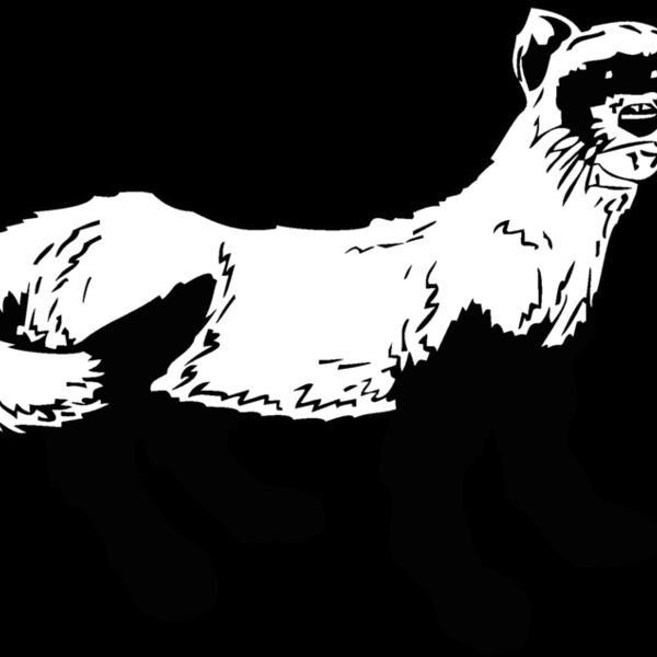 mongoos2 Thumbnail