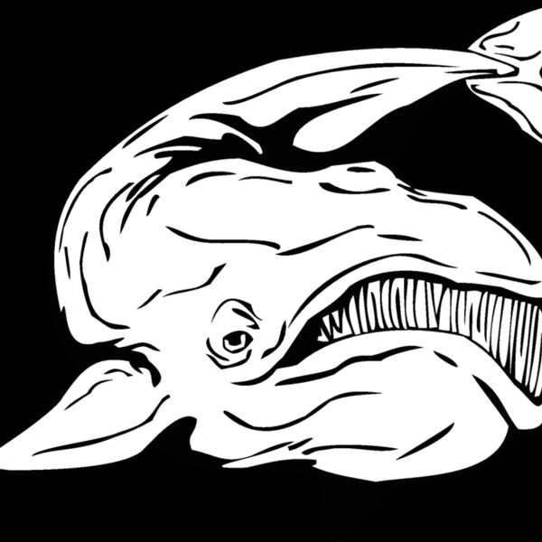 whale3 Thumbnail