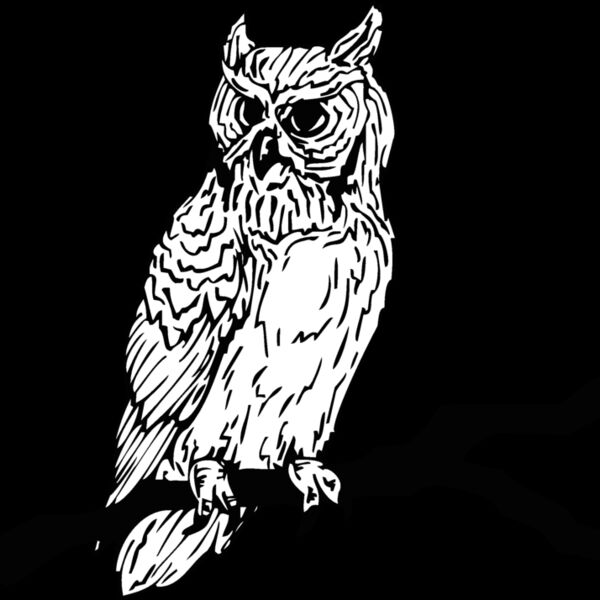 owl2 Thumbnail