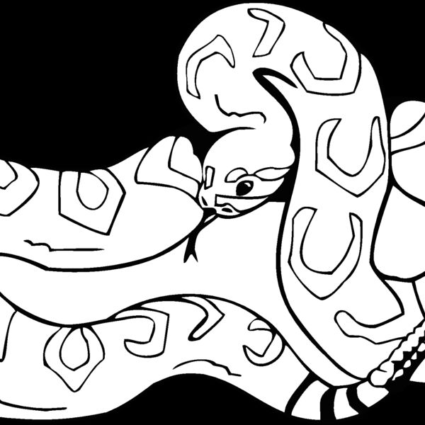 western  Thumbnail