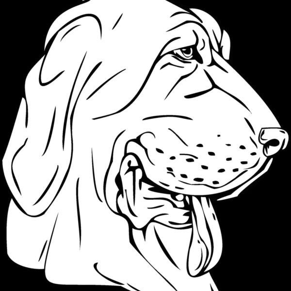 bloodhound Thumbnail