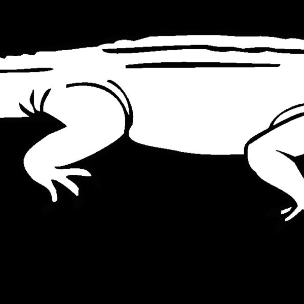 lizard7 Thumbnail