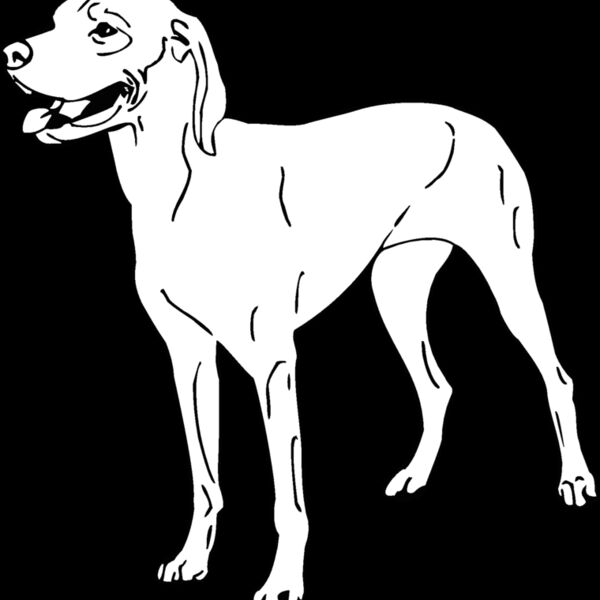 vizsla Thumbnail