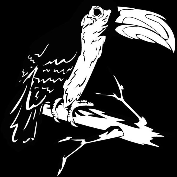 bird10 Thumbnail