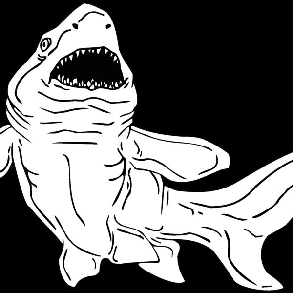 shark4 Thumbnail