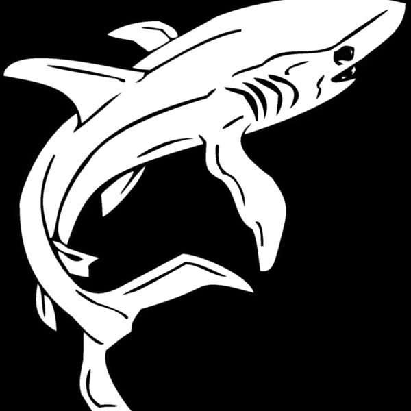 shark2 Thumbnail