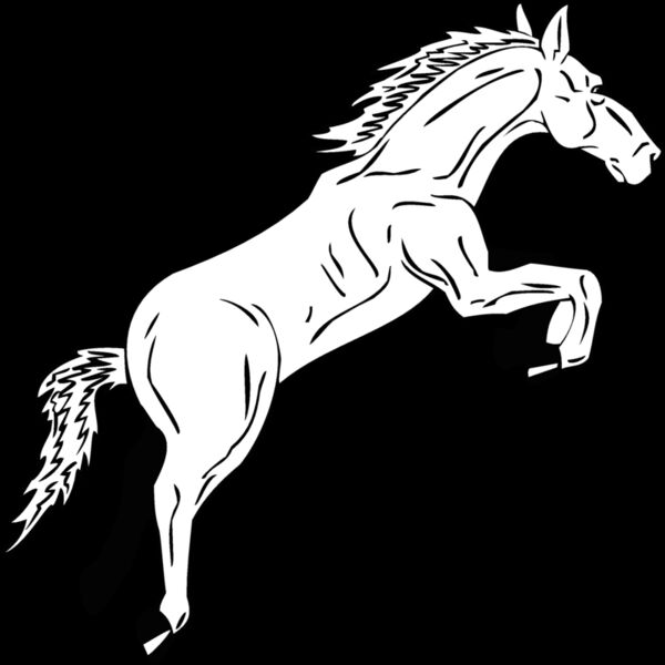 horse2 Thumbnail