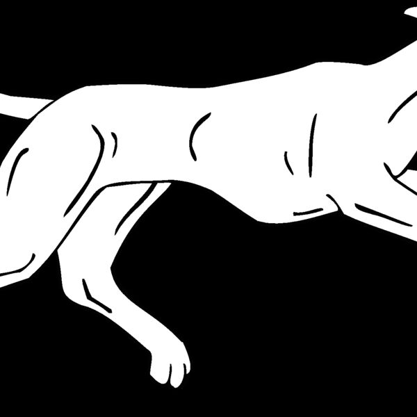 whippet  Thumbnail