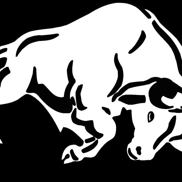 bull Thumbnail