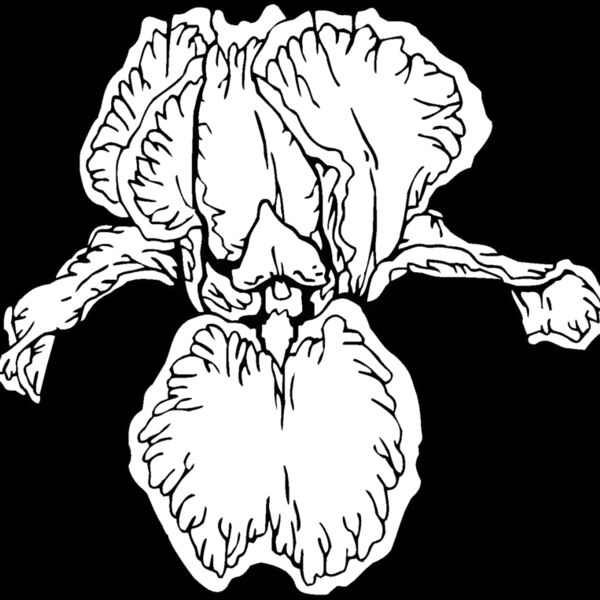 iris2 Thumbnail