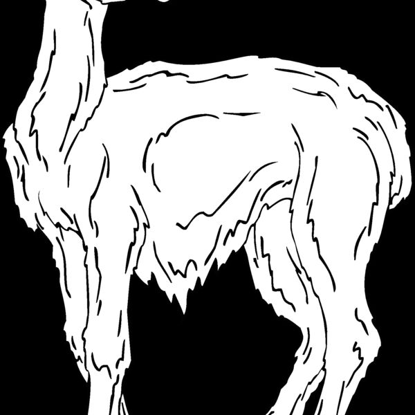 llama Thumbnail