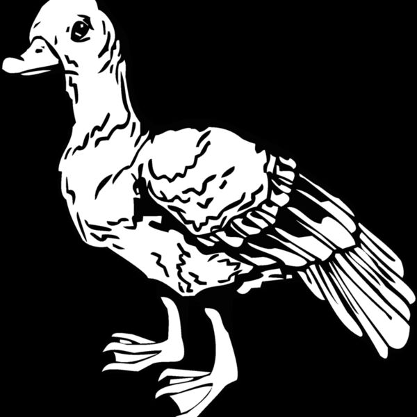 duck Thumbnail