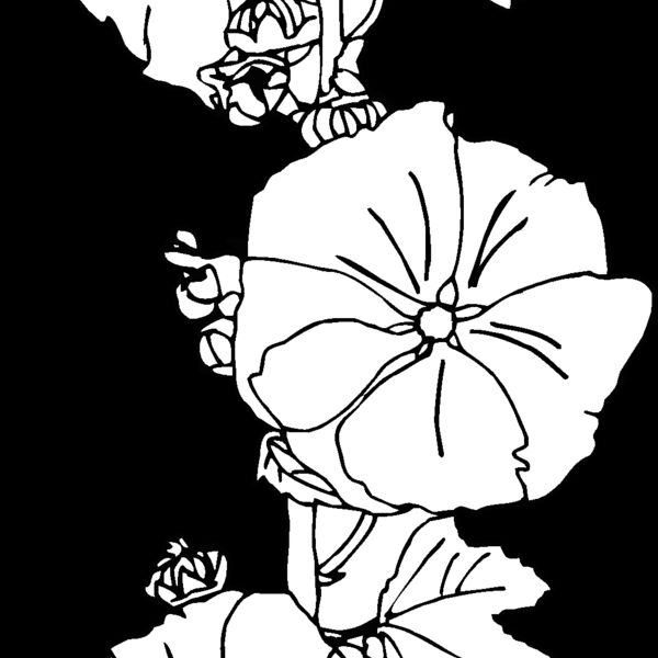 hollyhoc Thumbnail