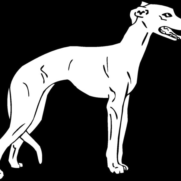 whippet Thumbnail