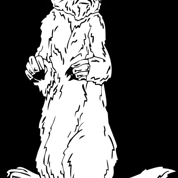 gopher Thumbnail