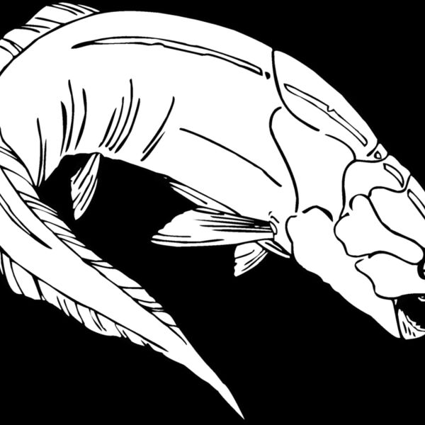 armored dunkleosteus Thumbnail