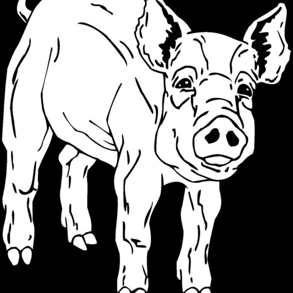 pig2 Thumbnail