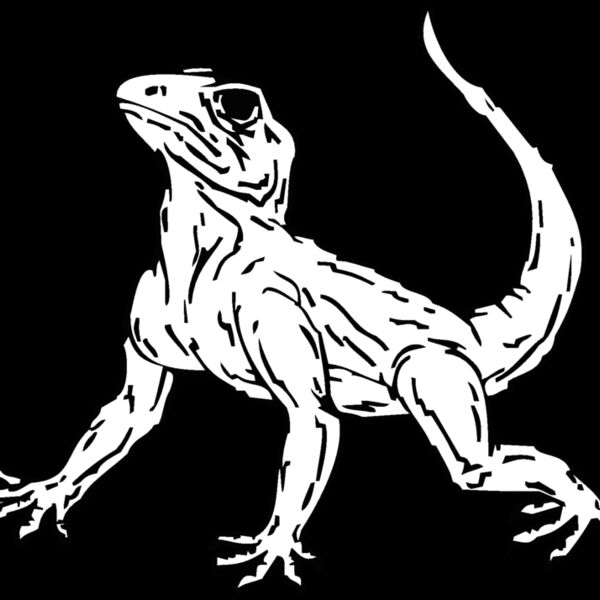 lizard 6 Thumbnail