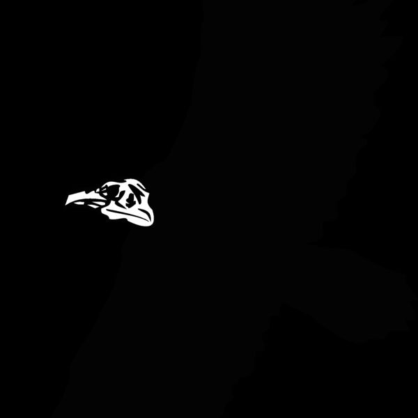 vulture Thumbnail