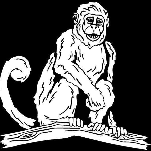 monkey3 Thumbnail