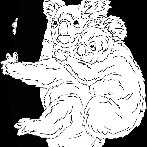 koala2 Thumbnail
