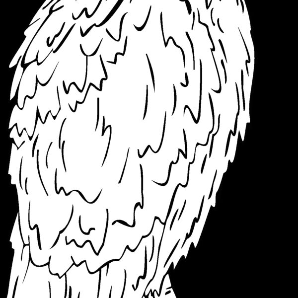 eagle19 Thumbnail