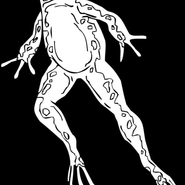 frog5 Thumbnail