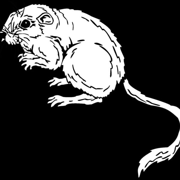 mouse2 Thumbnail