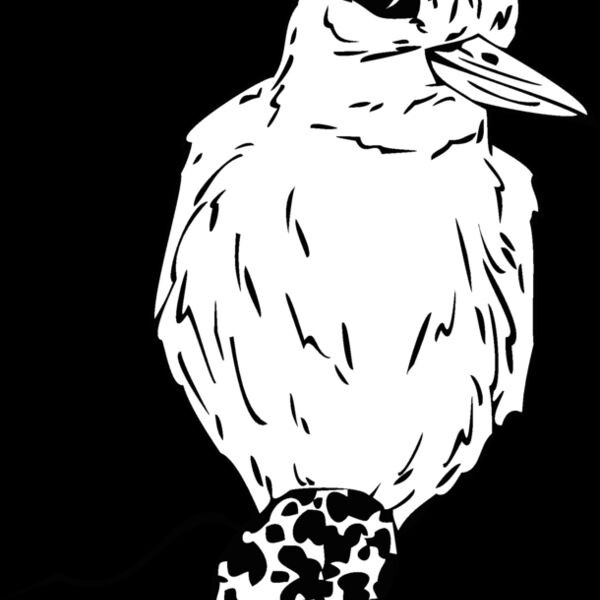 bird egg Thumbnail