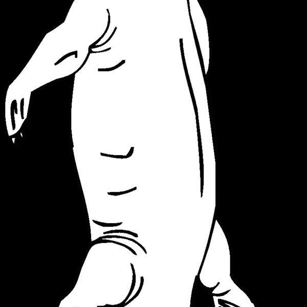 nothosau Thumbnail