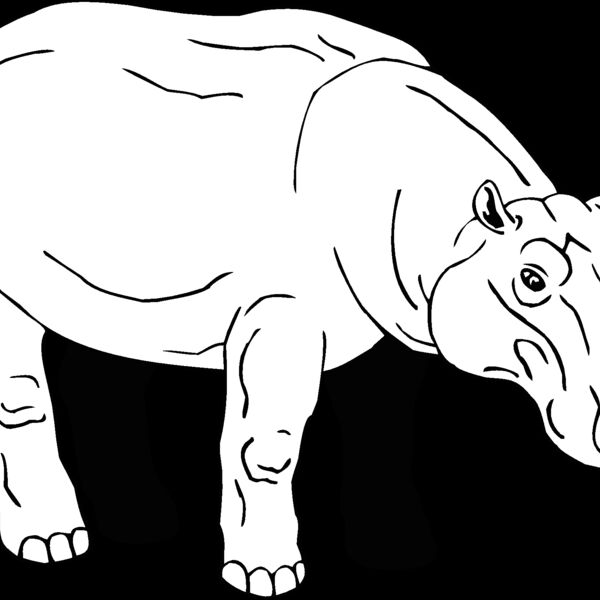 hippo2 Thumbnail