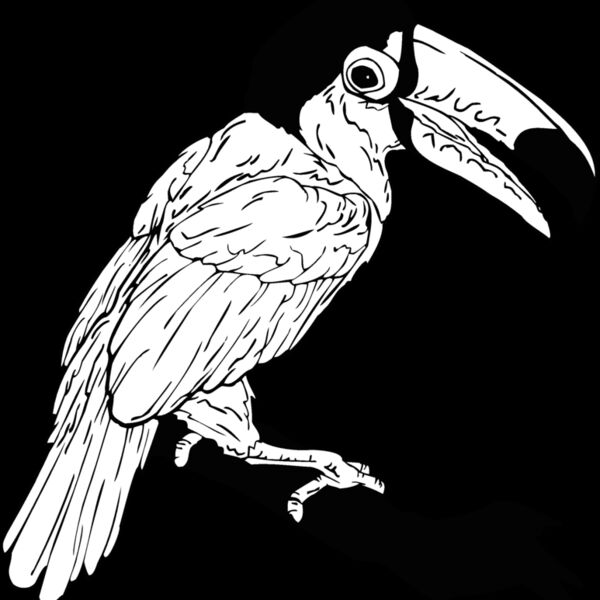 toucan Thumbnail